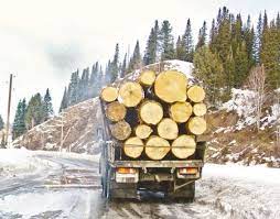 Памятка по транспортированию древесины, приобретенных в том числе физическими лицами для собственных нужд